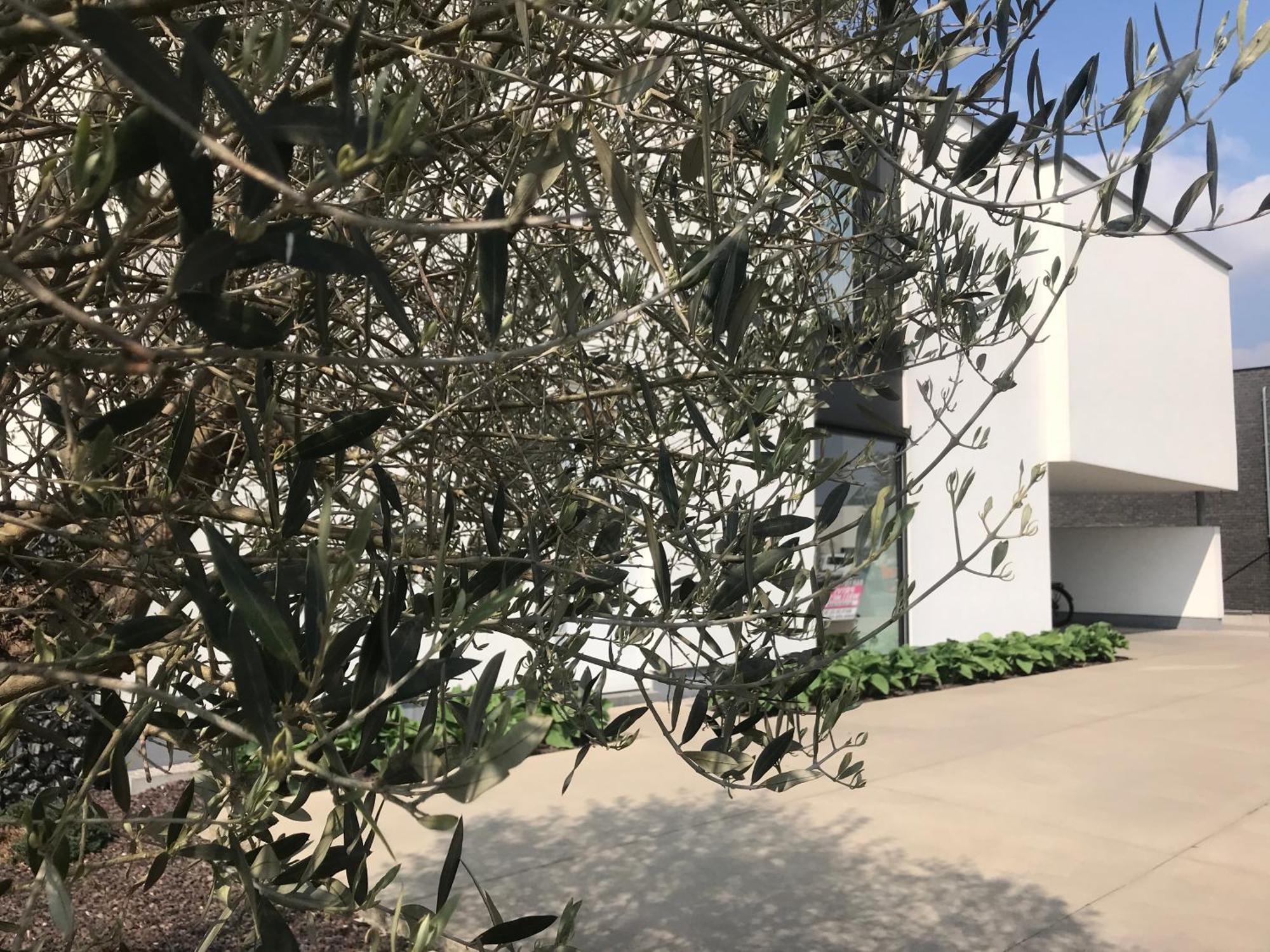 Vita Roka Met Extra Luxe Prive Wellness Ursel Exterior photo